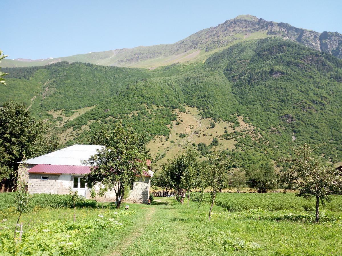 Guesthouse Mamuka Zhabesh Zhabeshi Exterior photo