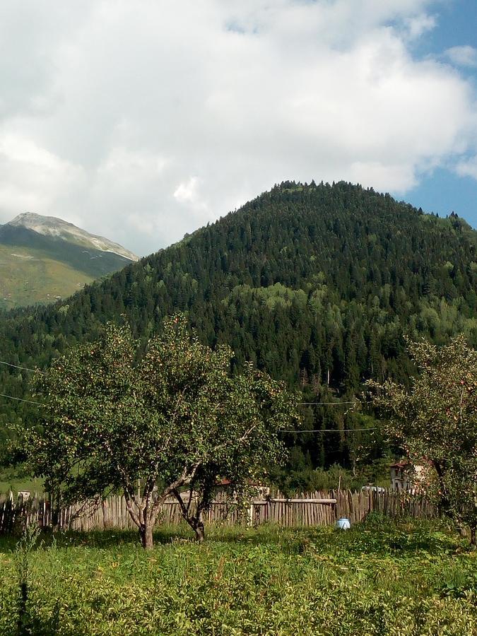 Guesthouse Mamuka Zhabesh Zhabeshi Exterior photo