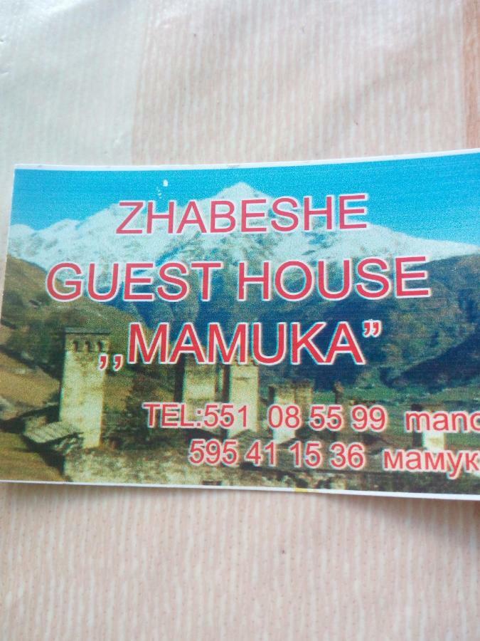 Guesthouse Mamuka Zhabesh Zhabeshi Exterior photo
